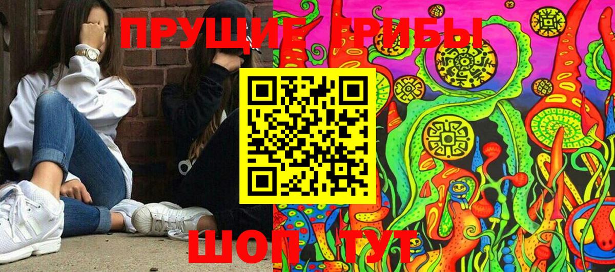 Моршанск  Псилоцибиновые грибы GOLDEN TEACHER  Вход с VPN 