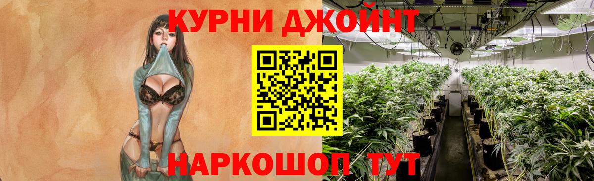 Канабис планчик  Вход с VPN  Бошки марихуана индика  МАРИХУАНА Bruce Banner  Моршанск 